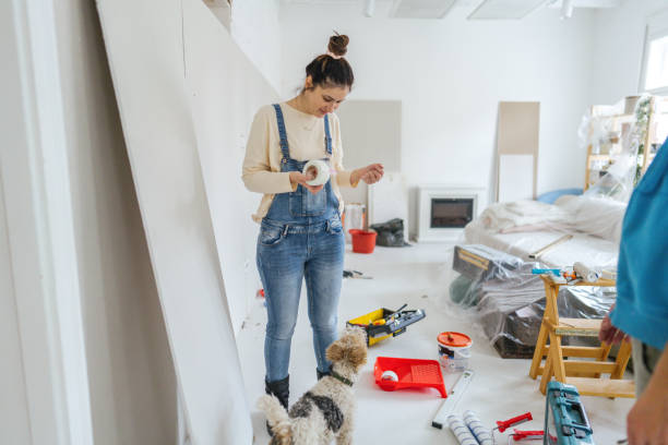 Best Drywall Installation  in Lyford, TX